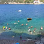 Pokrivenik 10427a